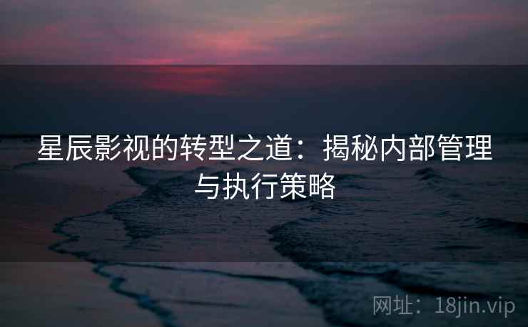星辰影视的转型之道:揭秘内部管理与执行策略 星辰影视的转型之道:揭秘内部管理与执行策略