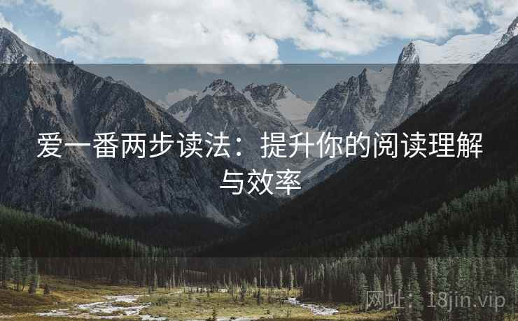 爱一番两步读法:提升你的阅读理解与效率 爱一番两步读法:提升你的阅读理解与效率